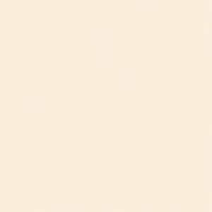 SANDERSON PAINT MISSION WHITE LT.  14